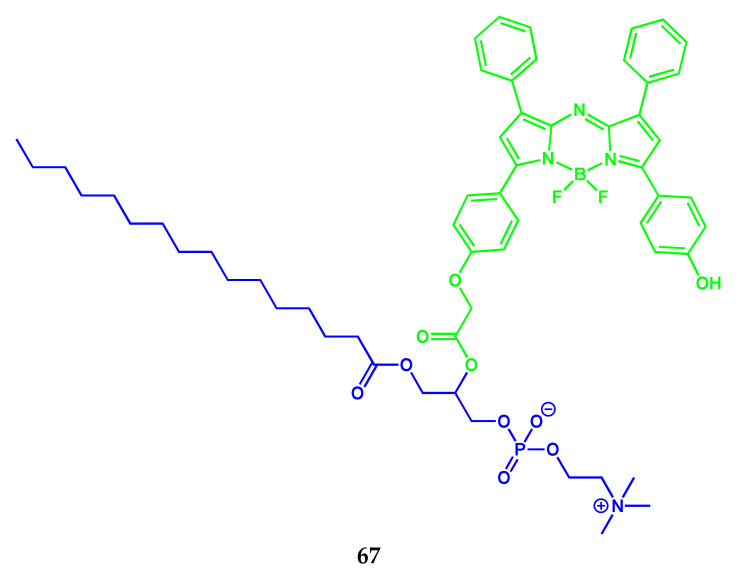 Scheme 37