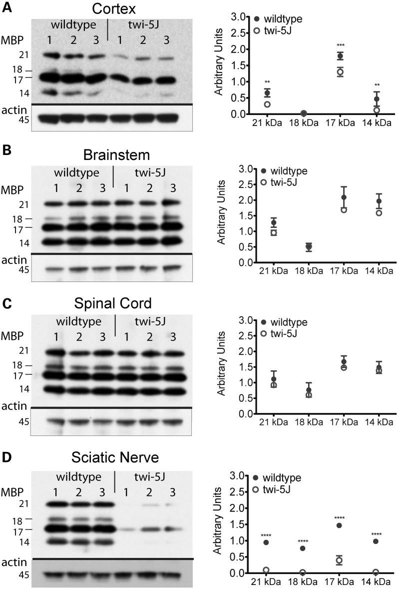 Figure 6.