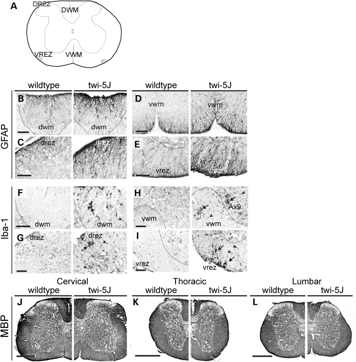 Figure 4.