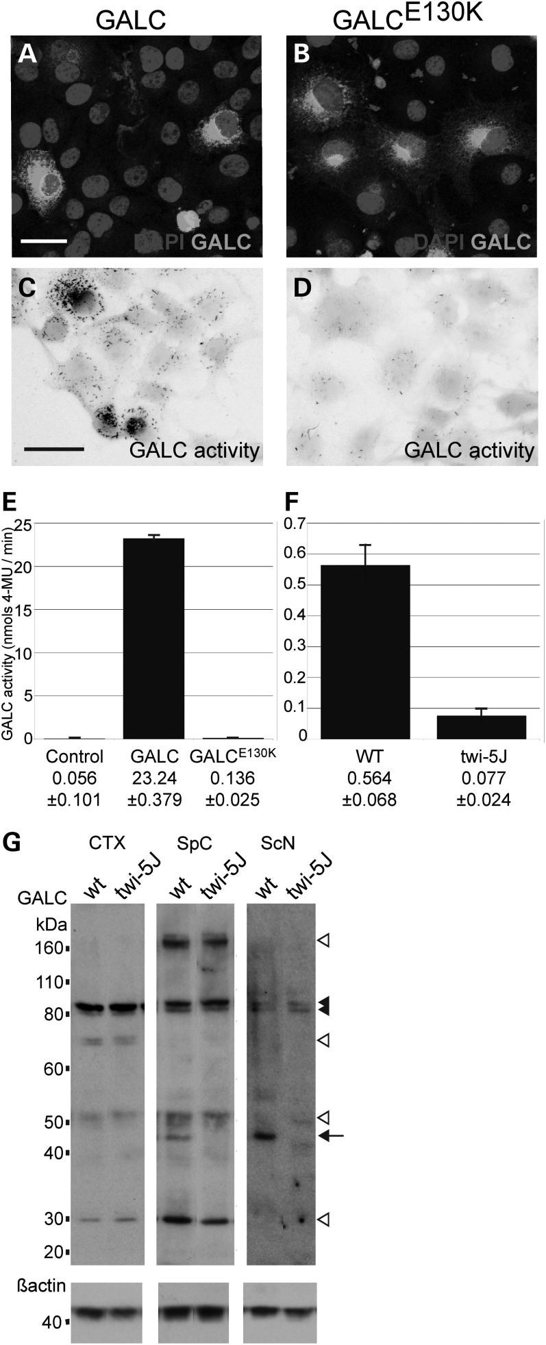 Figure 2.