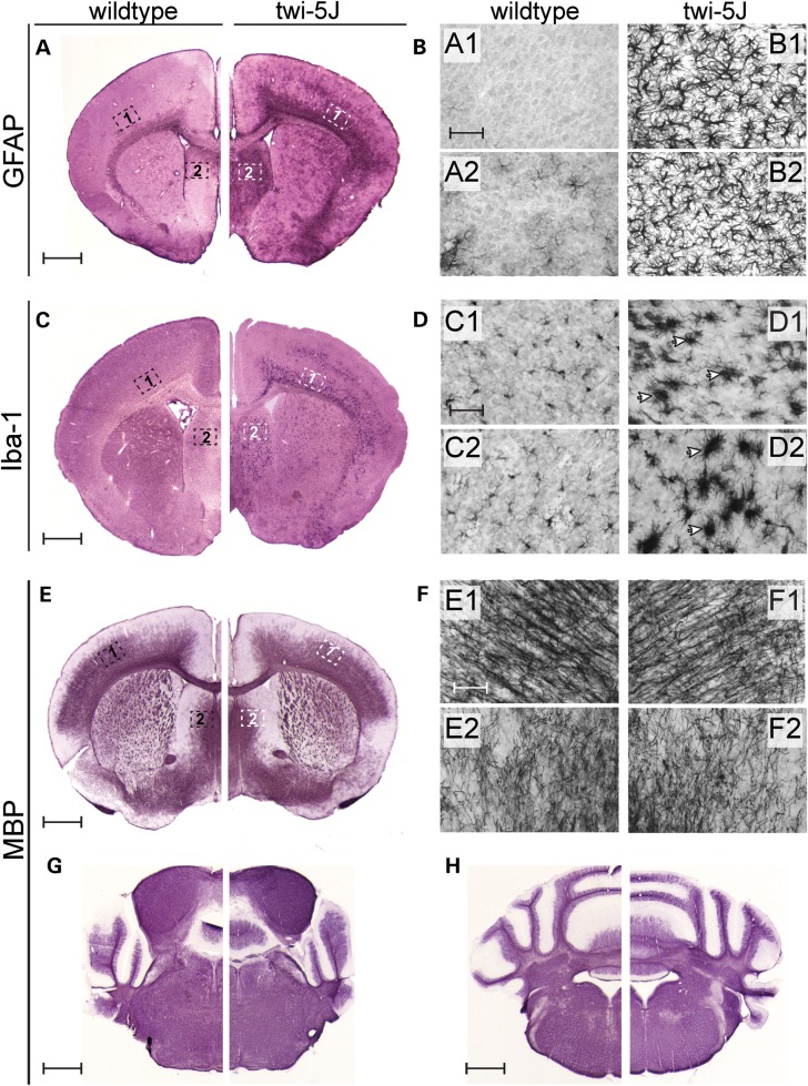 Figure 3.