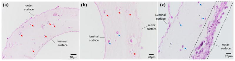 Fig. 9