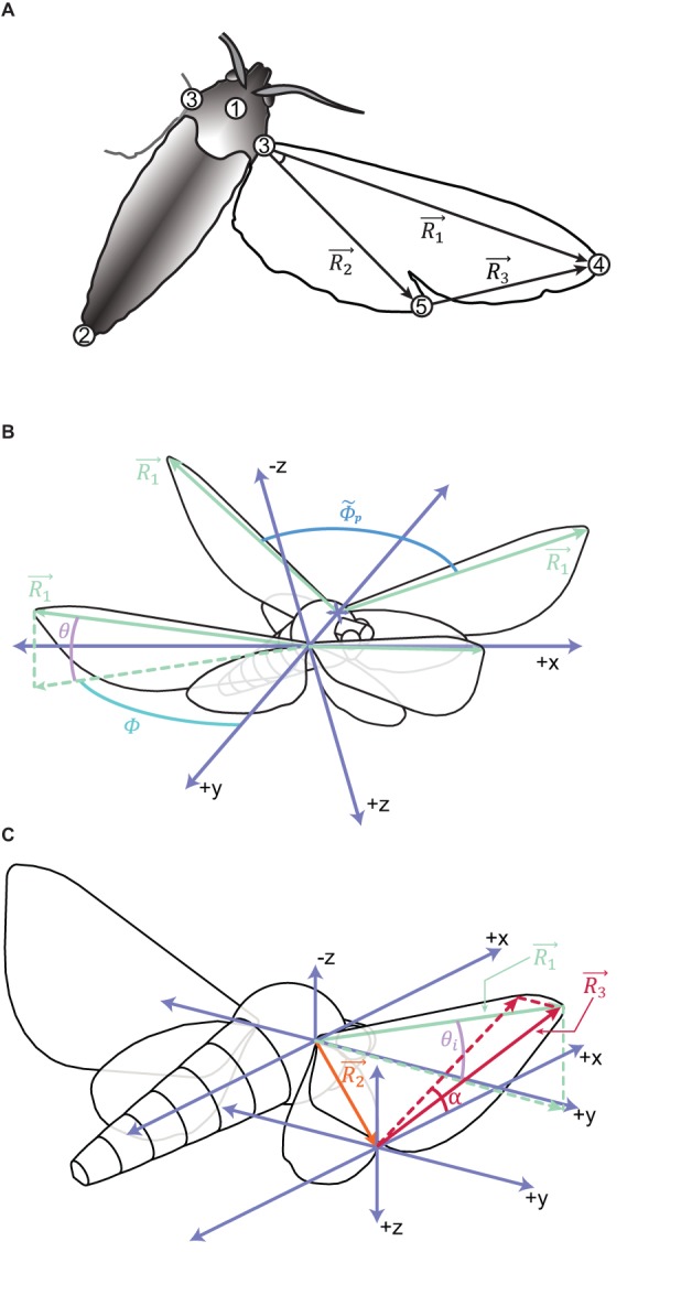 Fig. 3.