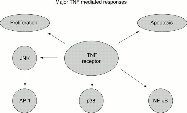 Figure 1  