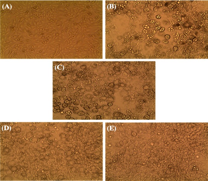 Fig. 5.