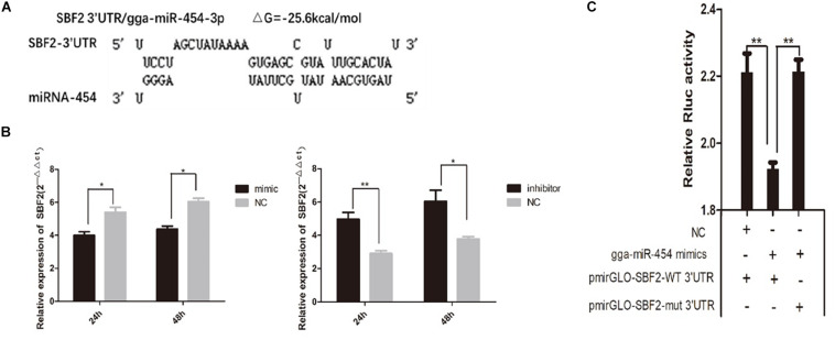 FIGURE 9