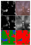 Fig. 8