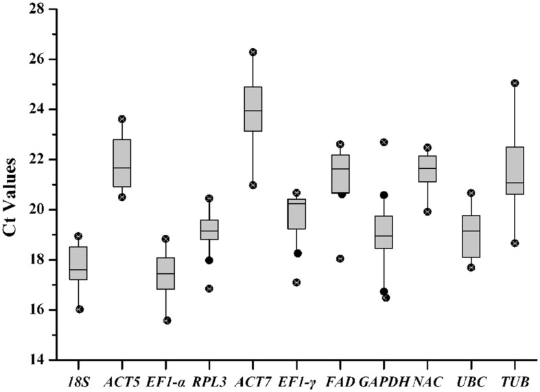 FIGURE 2