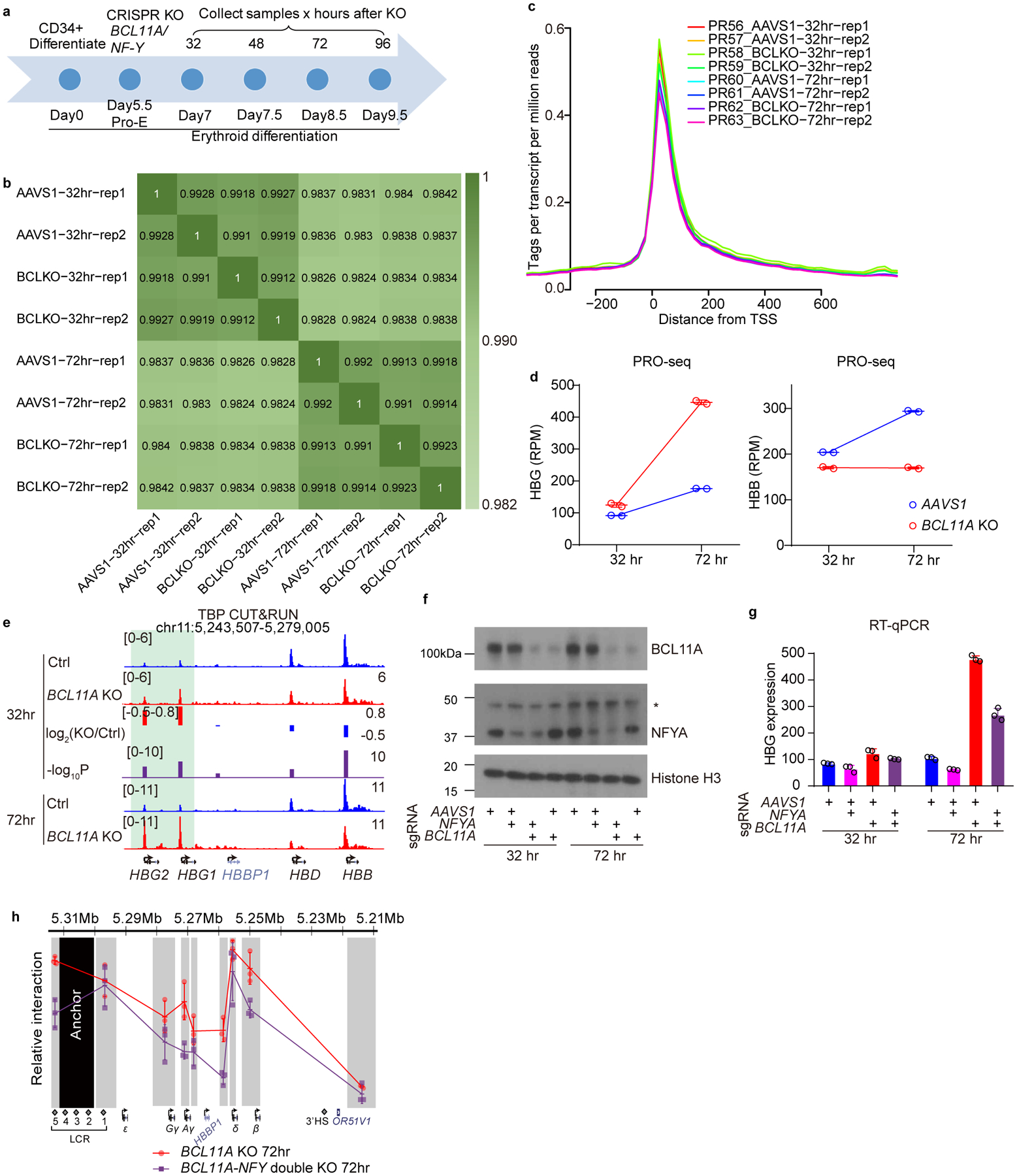 Extended Data Fig. 5