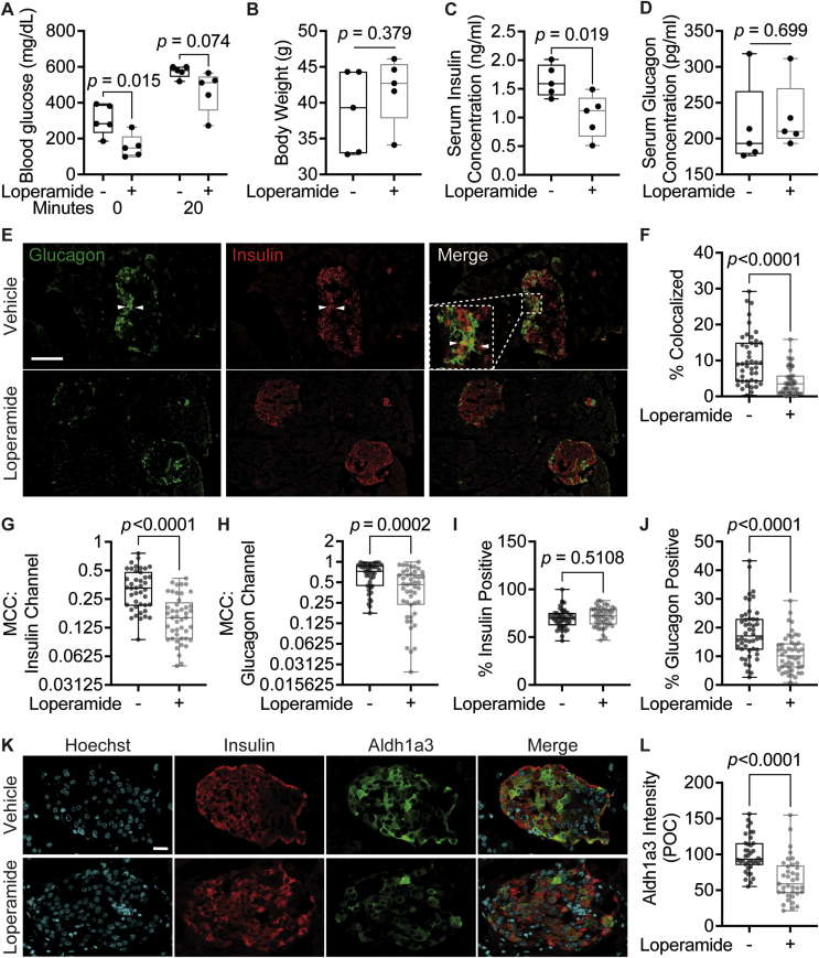 Figure 6