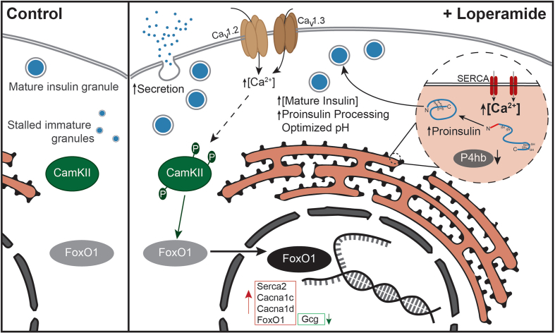 Figure 7