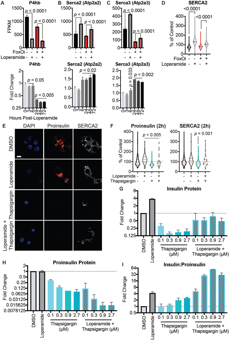 Supplementary Figure 9