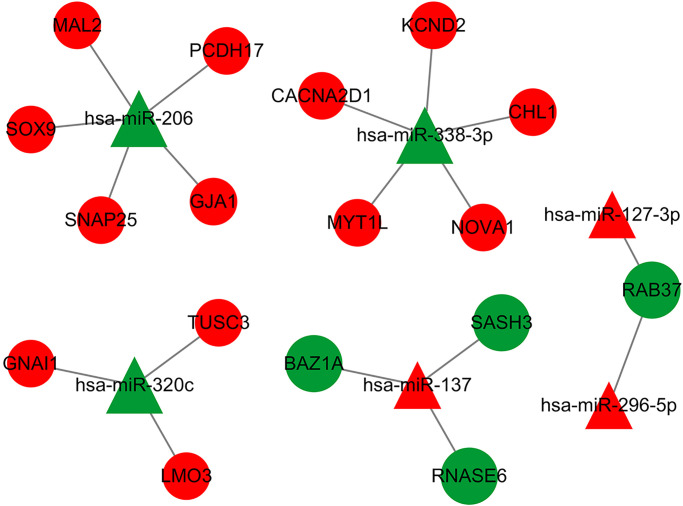 Figure 7