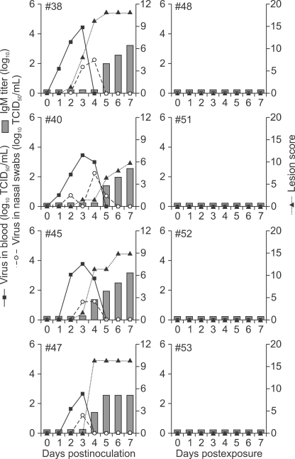 Fig. 8