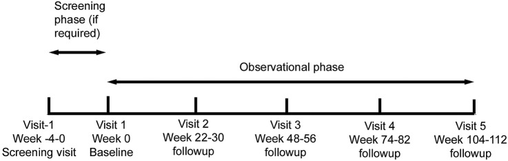 Figure 1