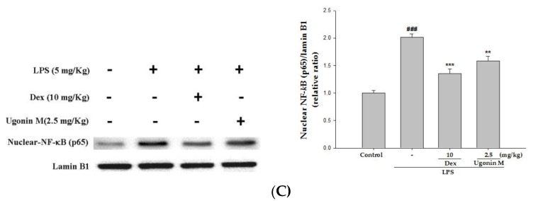 Figure 9