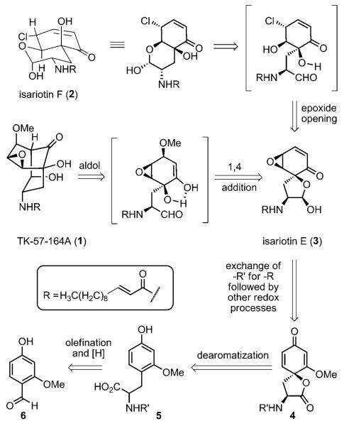 Scheme 1