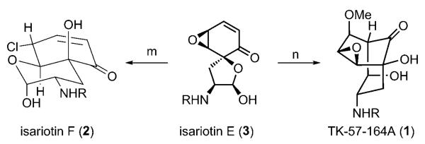 Scheme 3