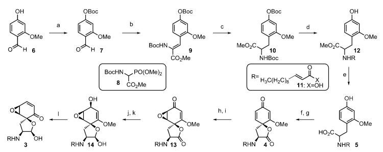 Scheme 2