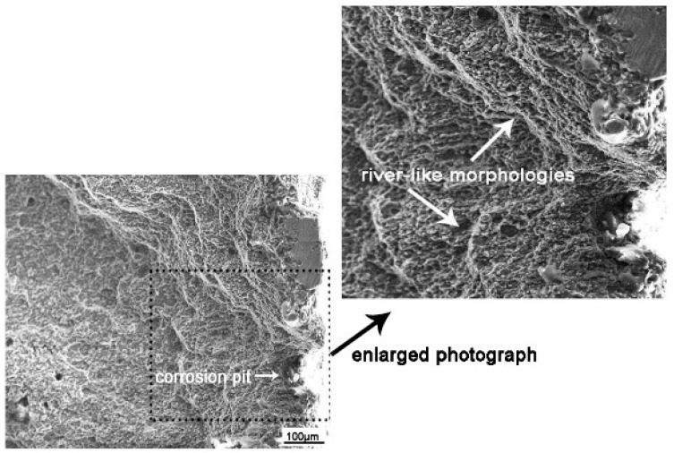 Figure 14