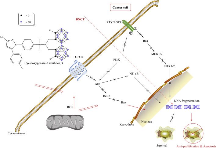 Figure 4