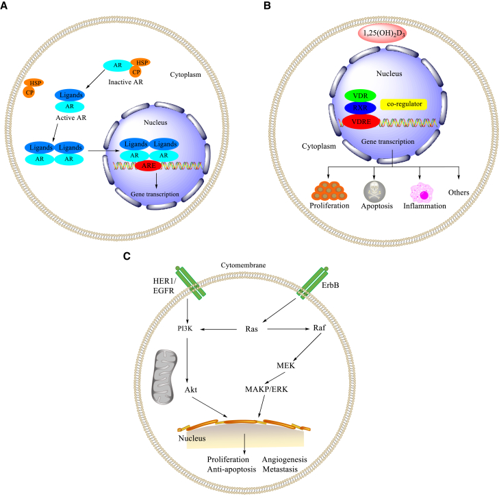 Figure 7