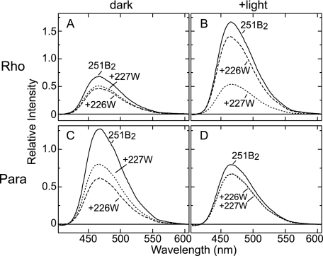 FIGURE 4.