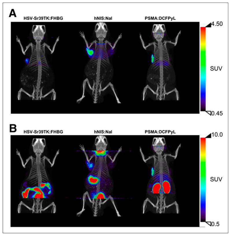 FIGURE 3