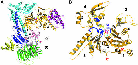 Fig. 1.