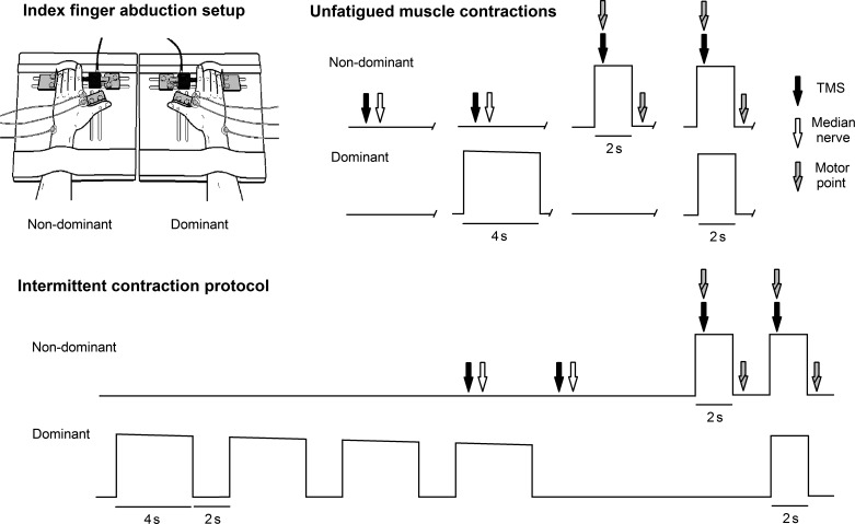 Fig. 1.