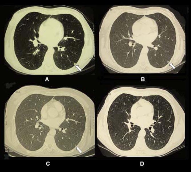 Fig. 5