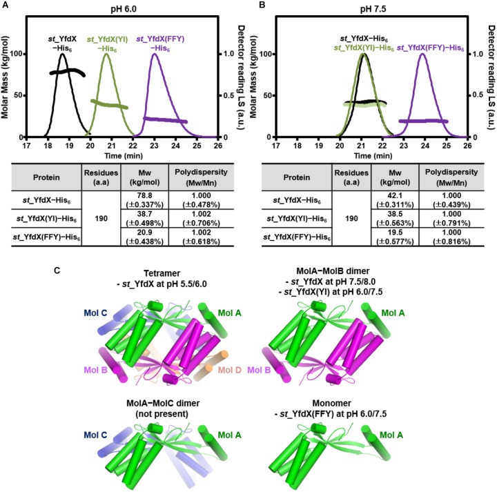 FIGURE 4