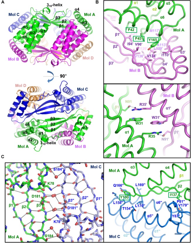 FIGURE 3