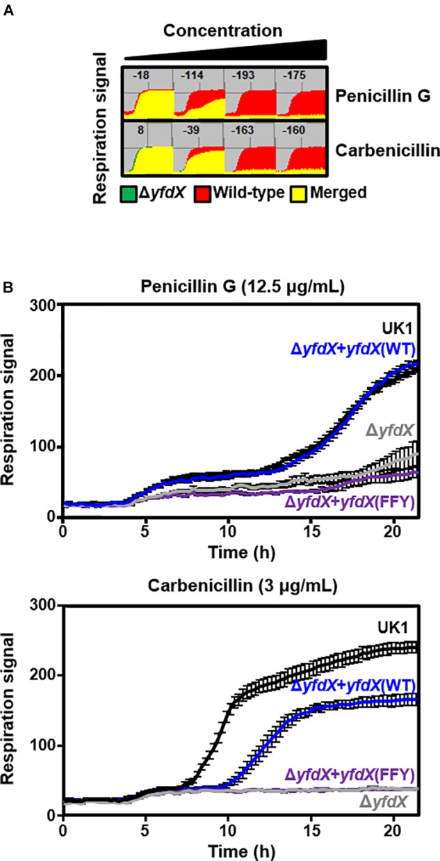 FIGURE 6