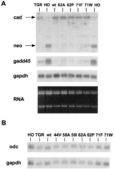 FIG. 5