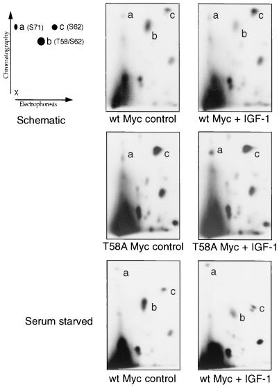 FIG. 8