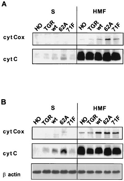 FIG. 6