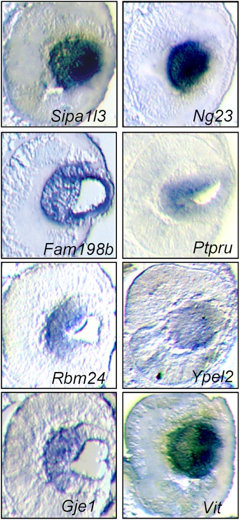 Figure 3.