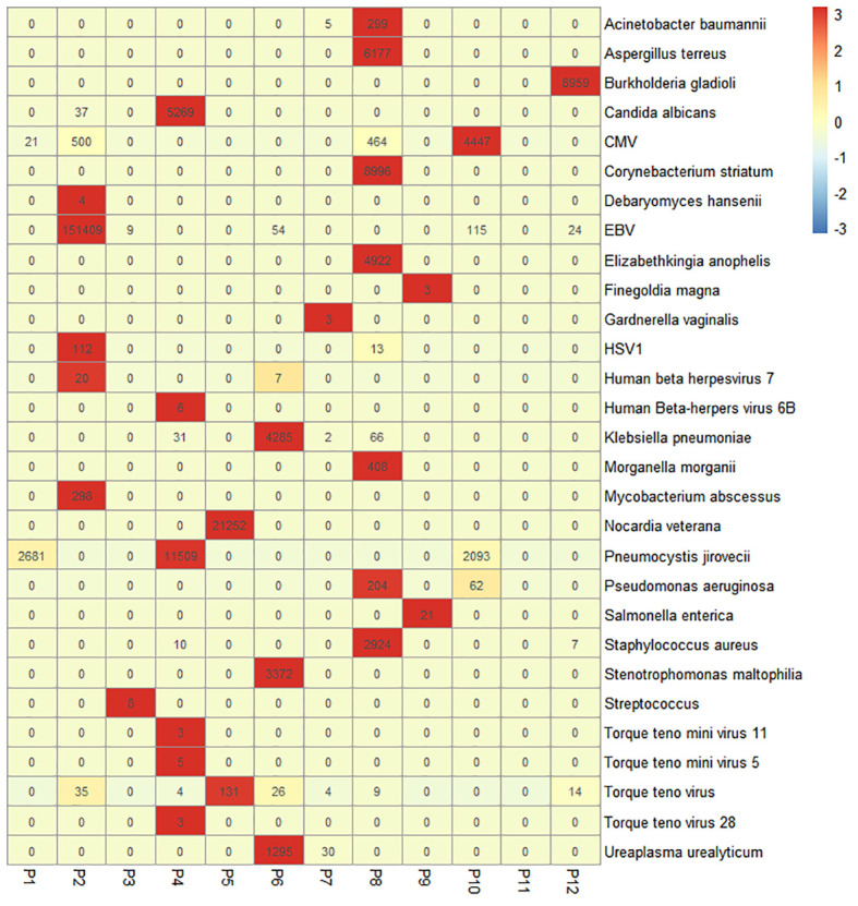 Figure 2