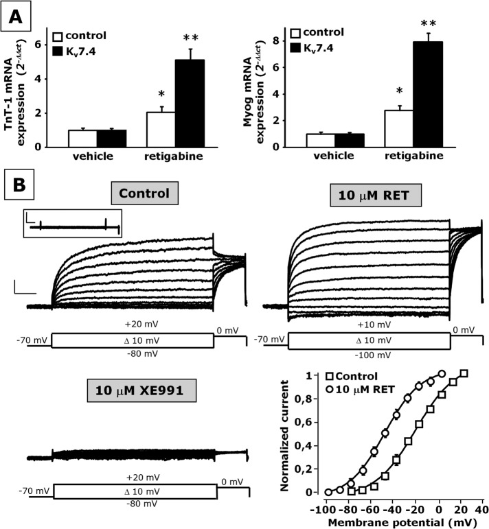 FIGURE 5: