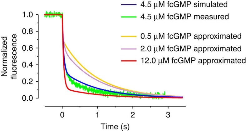 Figure 5