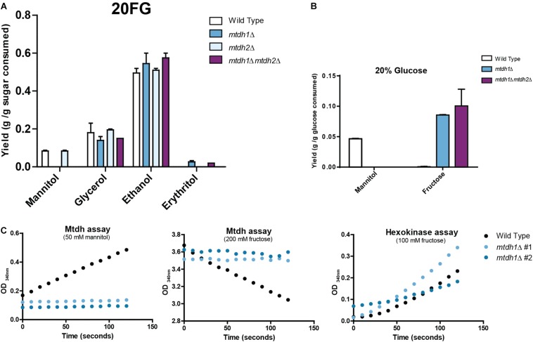 FIGURE 2