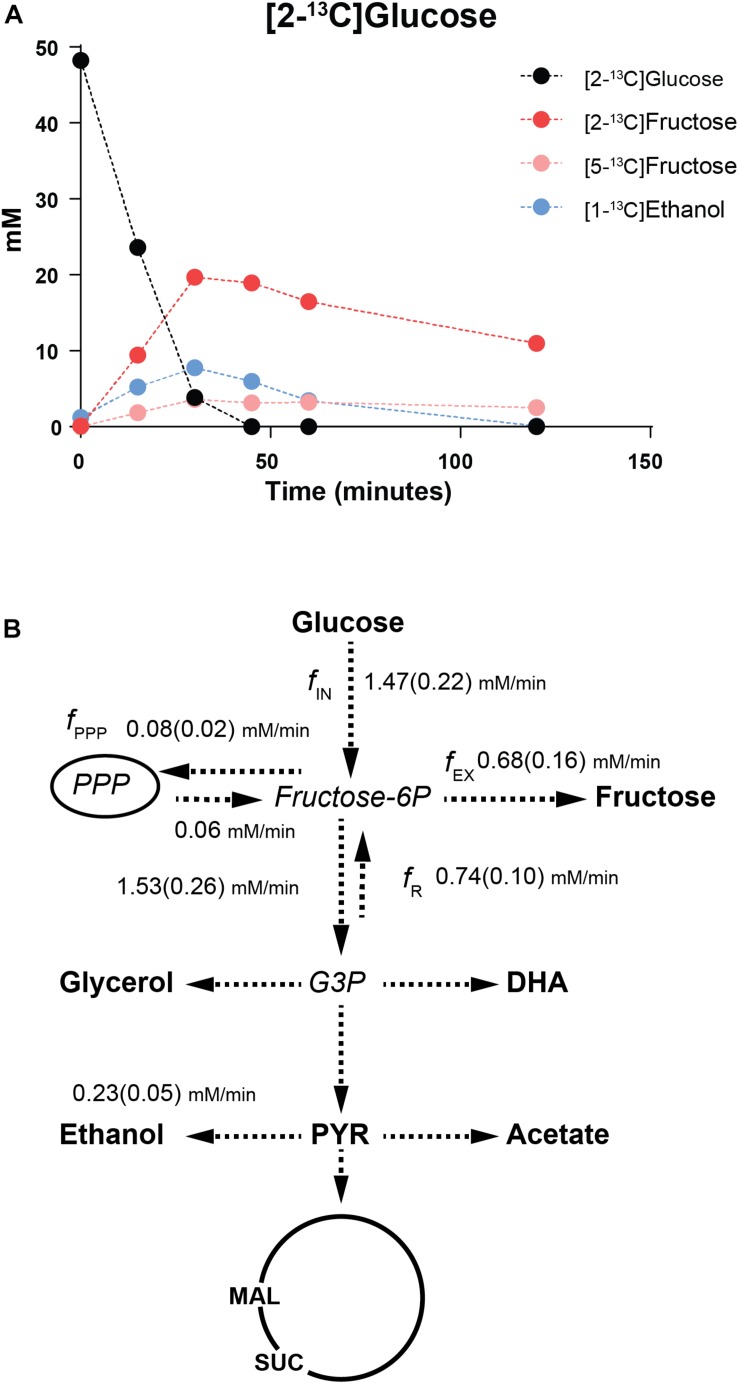 FIGURE 3