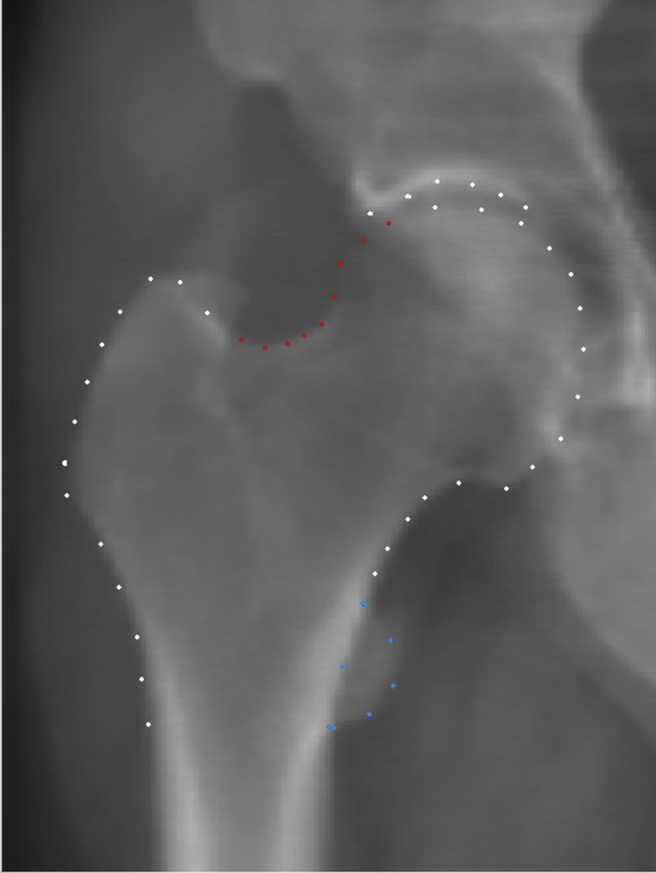 Fig. 1