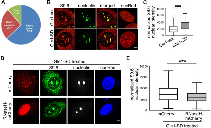 FIGURE 6: