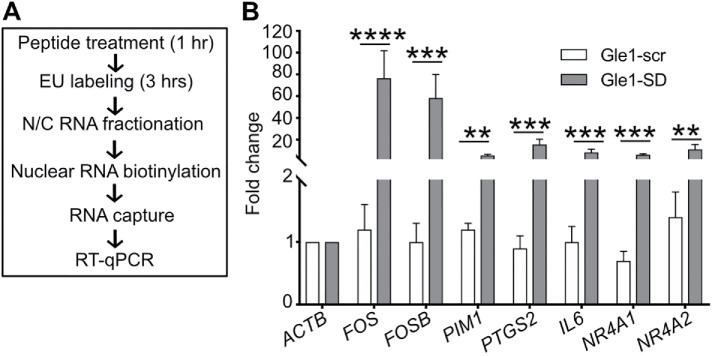 FIGURE 3: