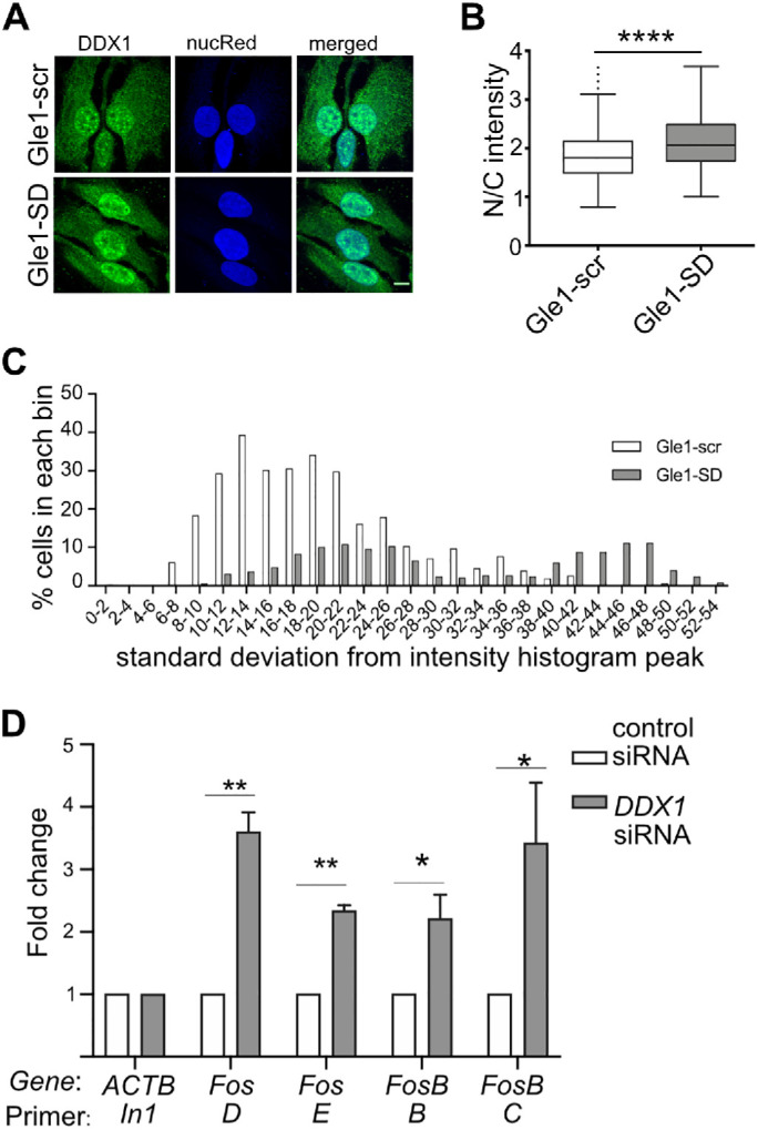 FIGURE 4: