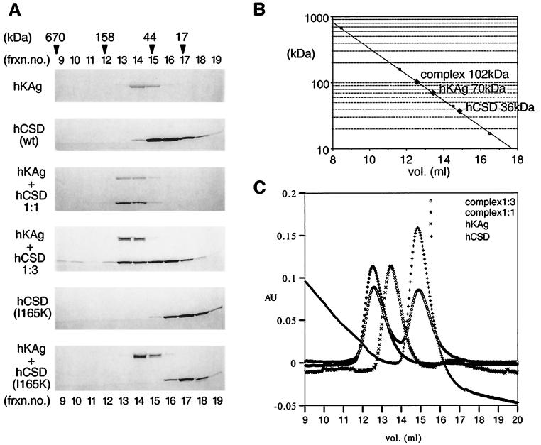 FIG. 6