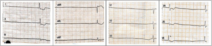 Fig. 1.