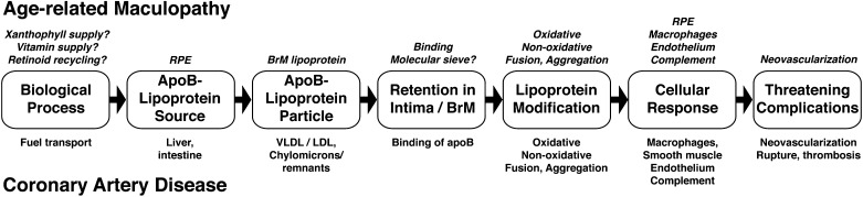 Fig. 11.